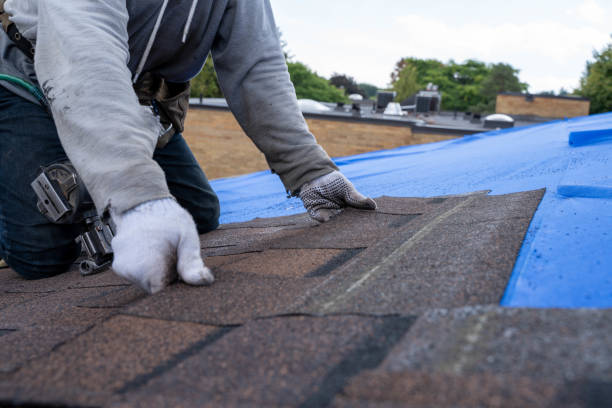 Quick and Trustworthy Emergency Roof Repair Services in Marion, AL