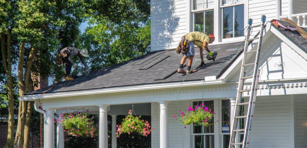Best Residential Roof Replacement  in Marion, AL