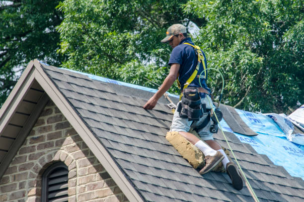 Residential Roof Replacement in Marion, AL